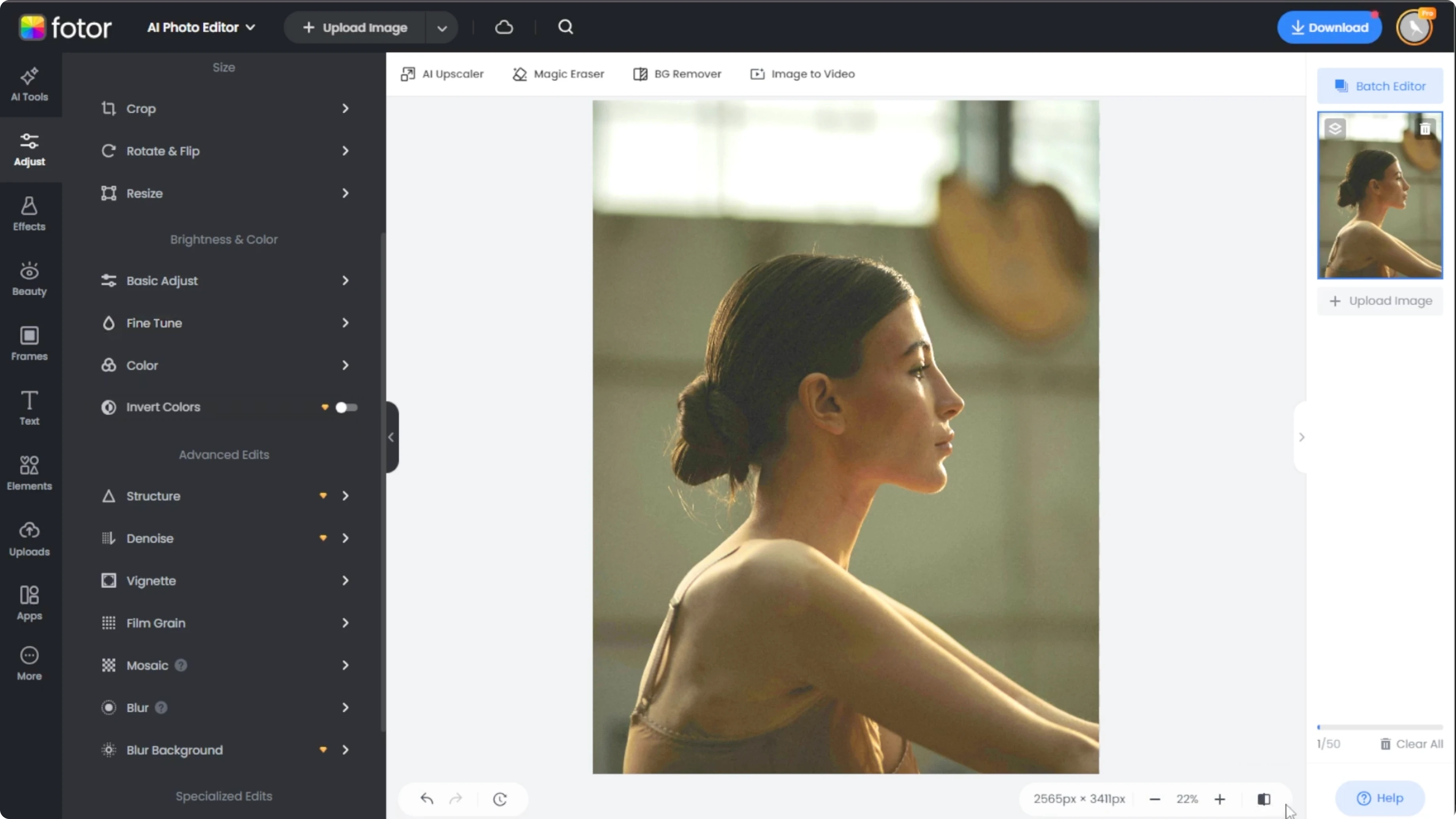 Screenshot from How to Enhance Low-Light Photos and Restore Shadow Details with AI? at 149s