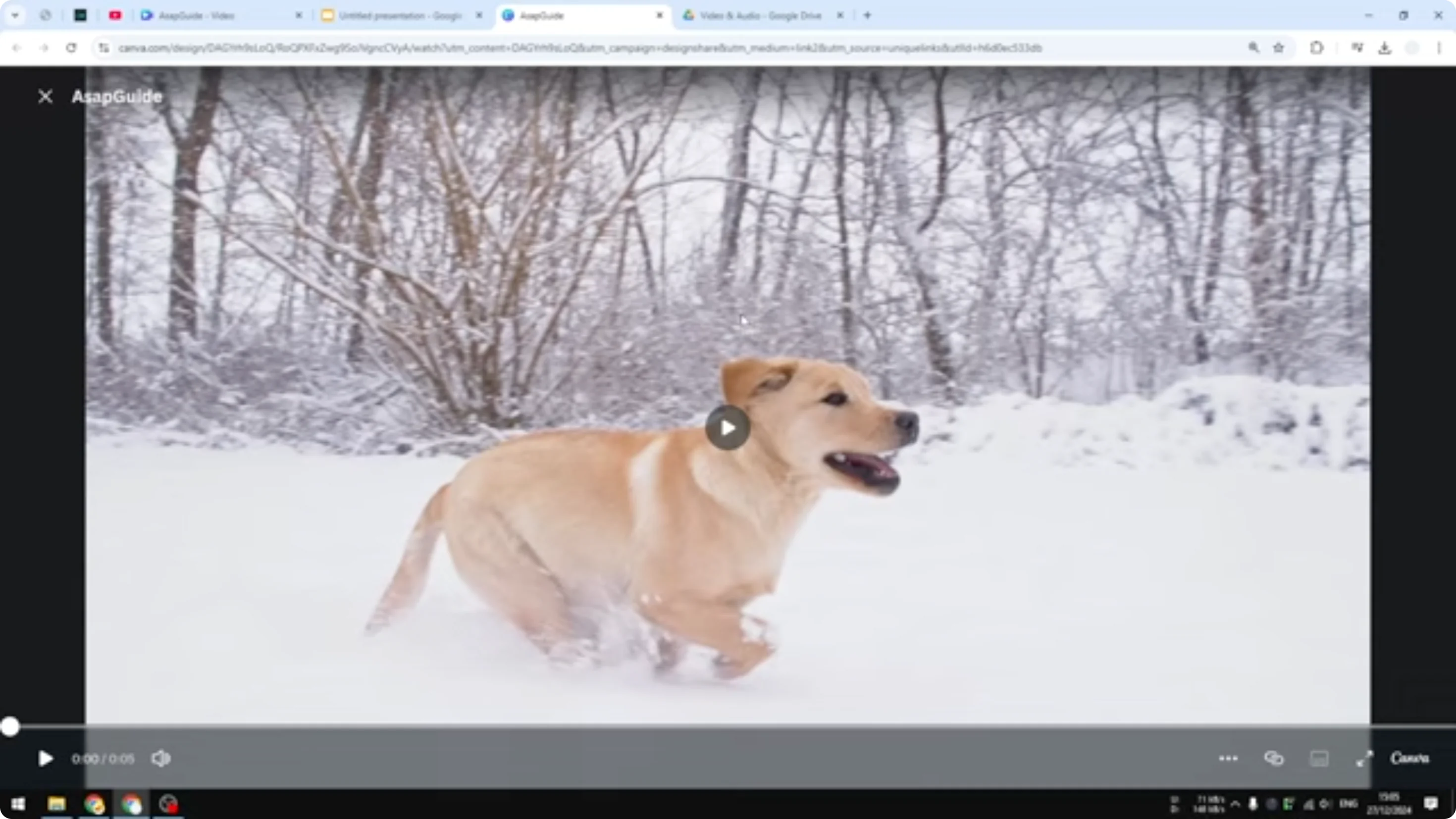 Screenshot from How to Insert Canva Video in Google Slides at 246s