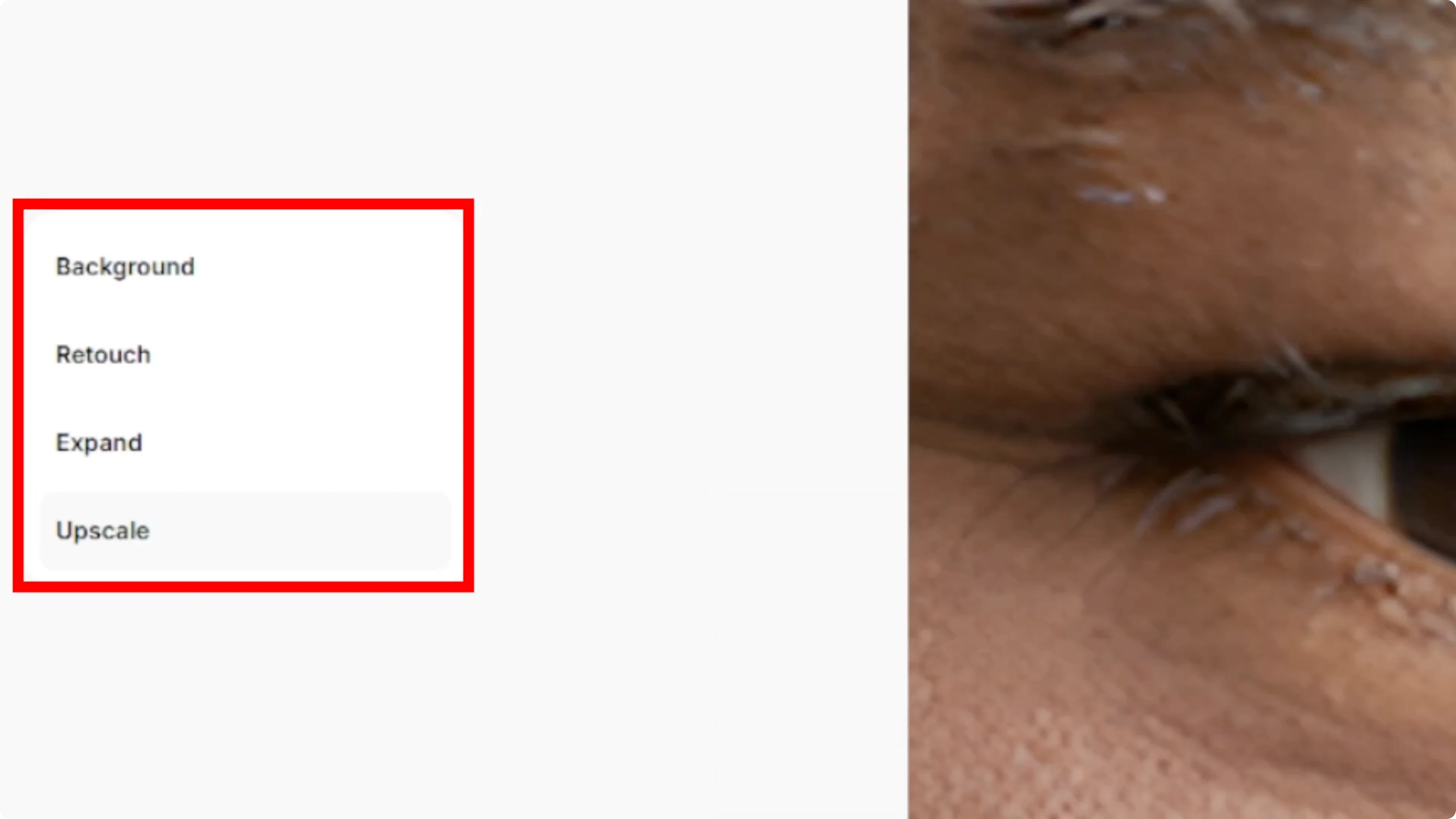 Screenshot from How to Instantly Upscale Images and Enhance Quality with AI? at 100s