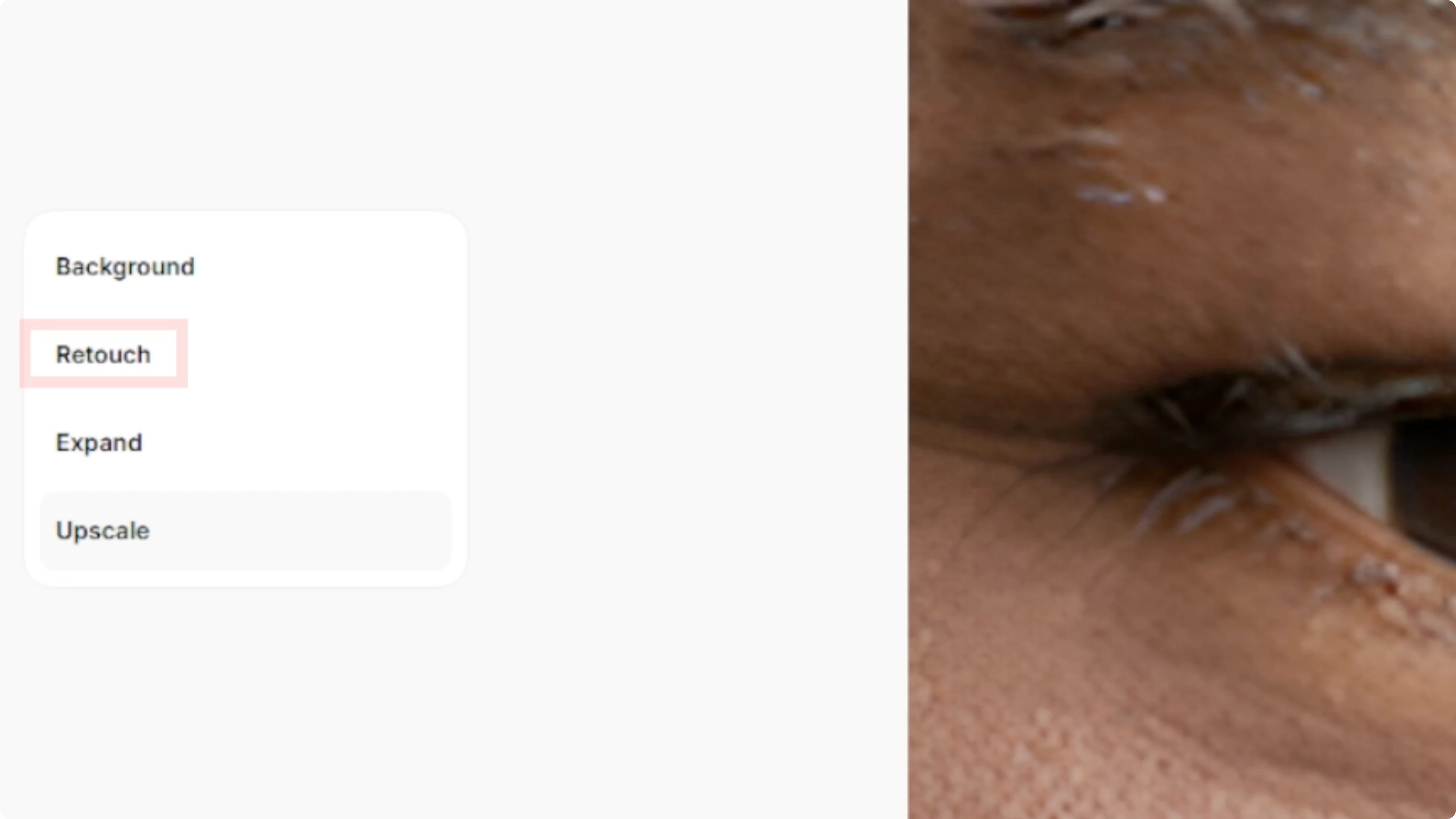 Screenshot from How to Instantly Upscale Images and Enhance Quality with AI? at 109s