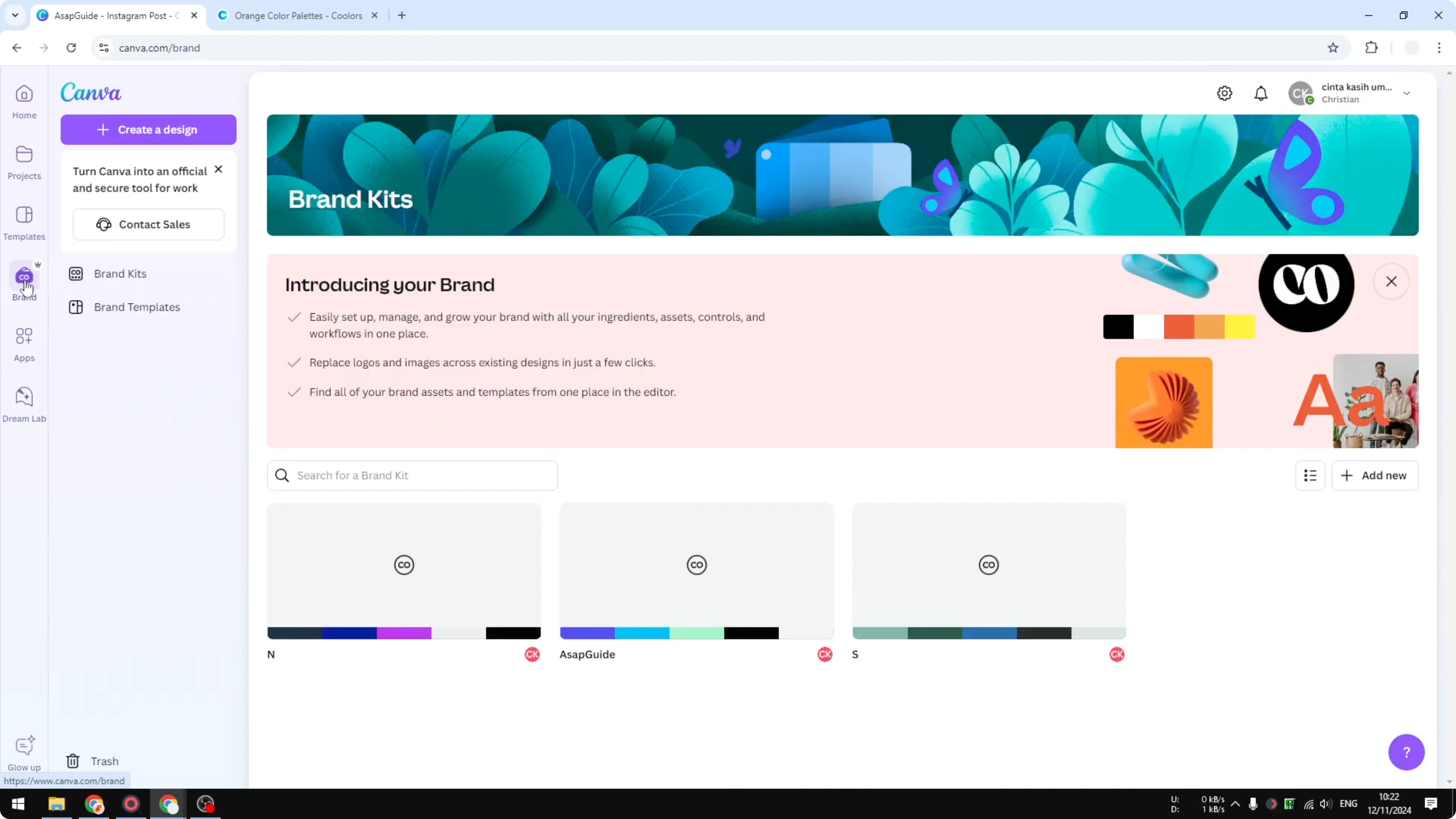 Screenshot from How to Make a Color Palette in Canva at 113s