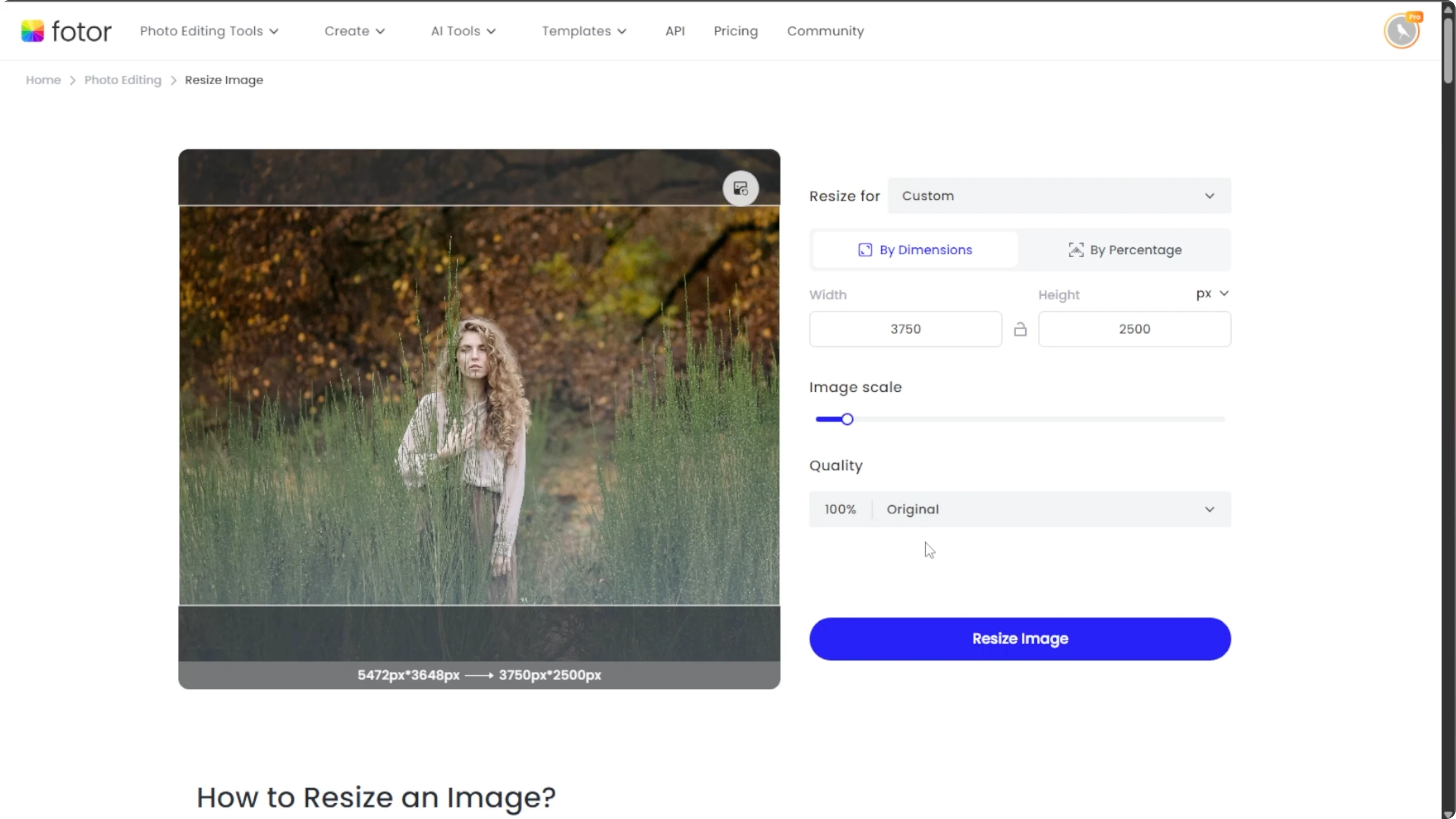 Screenshot from How to Increase Image Size and Resolution Without Losing Quality Using AI? at 135s