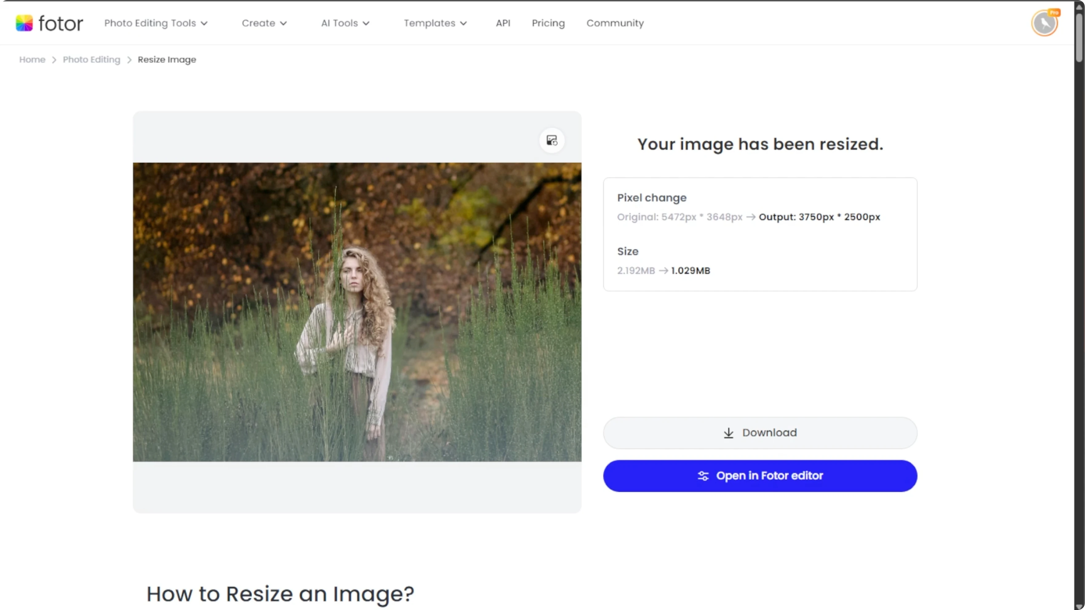 Screenshot from How to Increase Image Size and Resolution Without Losing Quality Using AI? at 143s